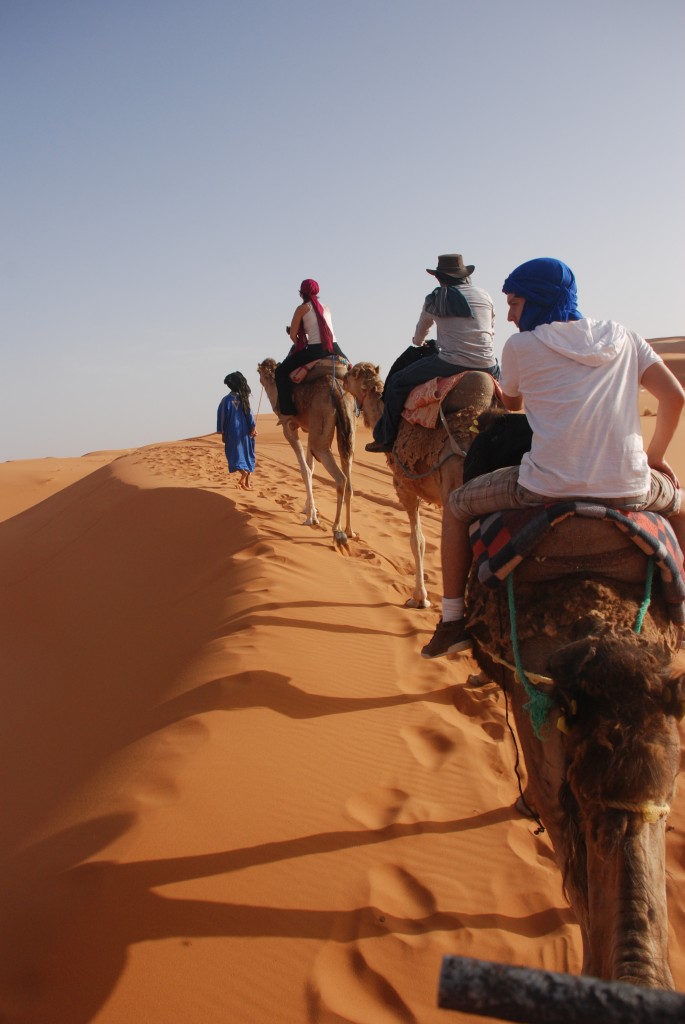 Os camelos são chamados também de os navios do Deserto